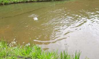 Imagem 3: Lote/Terreno para venda com 435600 metros quadrados em Sardoal - Paraíba do Sul - RJ
