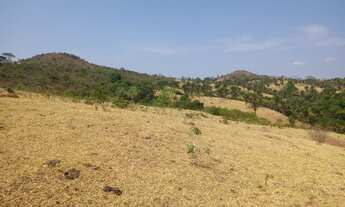 Imagem 2: Sítio para venda possui 11 Alqueires e meio em Zona Rural - Cocalzinho de Goiás - GO