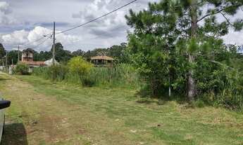Imagem 5: Terreno em Piraquara