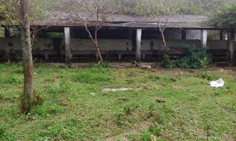 Imagem 5: Sítio para Venda em Saquarema, Jardim, 2 dormitórios, 2 banheiros, 5 vagas