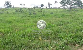 Imagem: Venda - Fazenda - Candeias do Jamari - 115