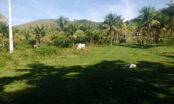 Imagem 2: Sítio para Venda em Saquarema, Jardim, 2 dormitórios, 2 banheiros, 5 vagas
