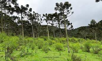 Imagem 4: Urubici/Sítio/Chácara á venda em Urubici