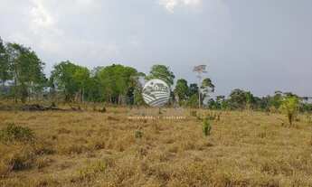 Imagem 6: Venda - Sítio - Machadinho D'Oeste - 19 Alqueires