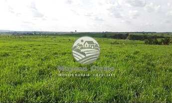 Imagem 4: Venda - Fazenda - Machadinho D'Oeste - 383 Alqueires