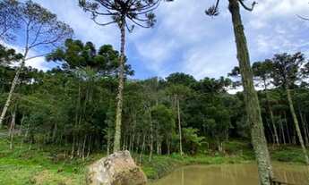Imagem 2: Urubici/Sítio/Area com 2 hectares próximo a Serra do Corvo Branco. Urubici-sc