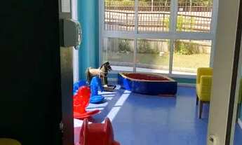 Imagem 5: APARTAMENTO NA VILA ANDRADE ZOAN SUL DE SÃO PAULO VENDA OU ALUGA