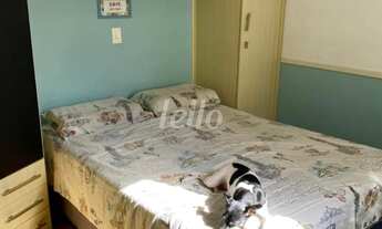 Imagem 3: São Paulo - Casa Padrão - Vila Prudente