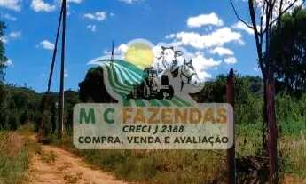 Imagem 3: Fazenda à Venda em Rio de Contas - BA | 309 Hectares