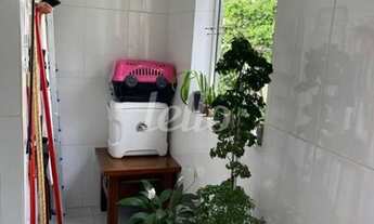 Imagem 2: São Paulo - Apartamento Padrão - Cambuci