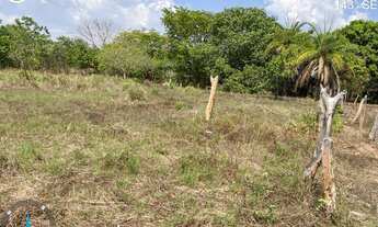 Imagem 6: FAZENDA À VENDA EM LIZARDA - TO - 2.000 HECTARES (DUPLA APTIDÃO