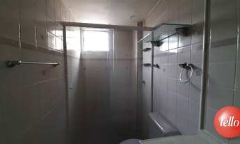 Imagem: São Paulo - Apartamento Padrão - Mandaqui