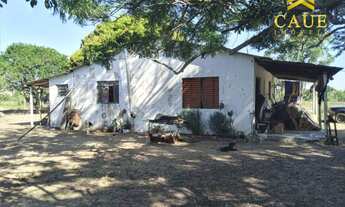 Imagem 3: Sítio 10.000m2 c/casa simples e galpão