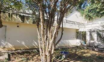 Imagem 5: Lote 1 mil m² na Fazendinha em rua tranquila, pronto para construir!