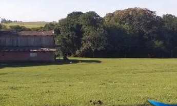 Imagem 6: Velleda oferece excelente fazenda, 175 hectares, para pecuária, Águas Claras, Viamão