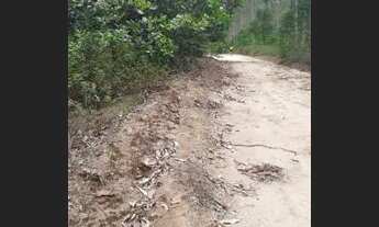 Imagem: Terreno no porto grande