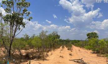 Imagem 2: FAZENDA À VENDA EM LIZARDA - TO - 2.000 HECTARES (DUPLA APTIDÃO