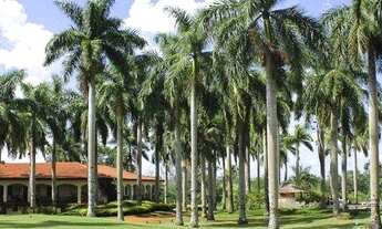 Imagem 5: Casa com 4 dormitórios à venda, 438 m² por R$ 7.200.000,00 - Lago Azul - Araçoiaba da Serr