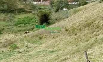 Imagem 3: CHÁCARA DE 5.000 MTS Á VENDA EM PIQUETE-SP