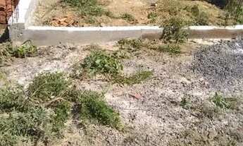 Imagem: Terreno na ilha