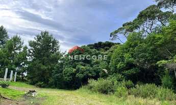 Imagem 3: Lote em Rua 16 - Colinas - São Francisco de Paula/RS