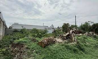 Imagem 3: TERRENO NO COND. MOSAICO PONTA NEGRA LOTE 10X25 QUITADO