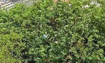 Imagem 2: Pinheiros - 3 Dormitórios - suíte - Lazer - Metrô