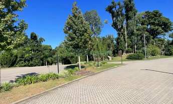 Imagem 11: Terreno Pedancino Caxias do Sul