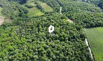 Imagem 6: Terreno Rural com 28.000 m² a 15 Min do Centro de Colombo Oportunidade Única