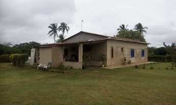 Imagem 7: Mini sítio pra relaxar