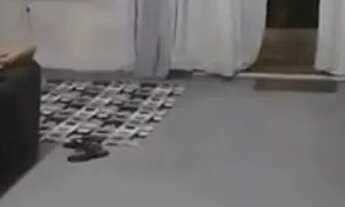 Imagem 6: Vendo minha casa