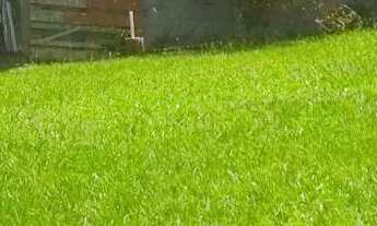 Imagem 4: Imóvel para venda tem 420 metros quadrados em Pontinha - Araruama - RJ