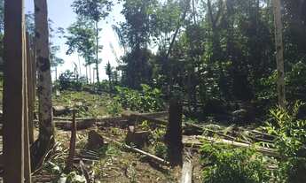 Imagem 6: Lote na estrada do Cetur