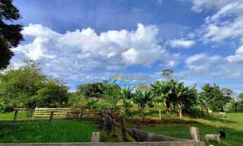 Imagem 4: Sítio à venda, 484000 m² por R$ 2.500.000,00 - Centro - Guaraniaçu/PR