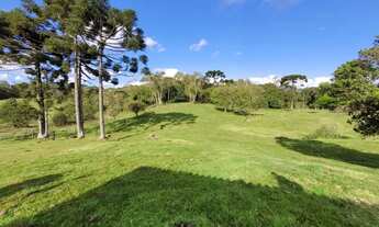 Imagem 3: CAXIAS DO SUL - Terreno Padrão - ANA RECH