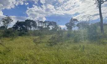 Imagem 4: Fazenda a venda em Ipameri - Goiás!!!