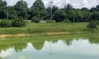 Imagem 7: Sítio 200 x 1.000 com 12 viveiro peixe Manuel Urbano 1.600.000