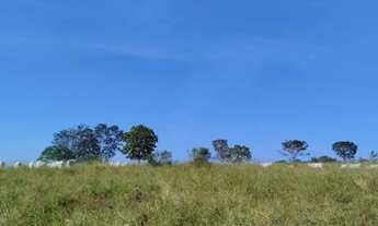 Imagem 6: Fazenda 180 hectares