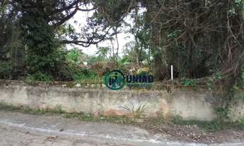 Imagem 7: Terreno com 7 Lotes - Totalizando 3.700m²