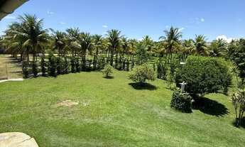 Imagem 7: Sítio Chácara com venda por R$899.000