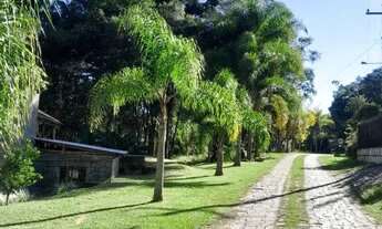Imagem: CAXIAS DO SUL - Terreno Padrão - MONTE