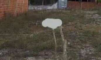 Imagem 2: Terreno 10x20 Conceição do Coité-Ba