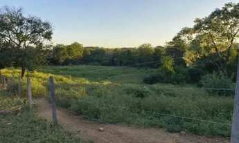 Imagem 7: Fazenda em Paracatu MG de 213 hectares com 70 hectares de área plana ideal para criação de