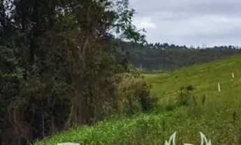 Imagem 4: Casa de condomínio para venda possui 500 metros quadrados em Centro - Vargem Grande Paulis