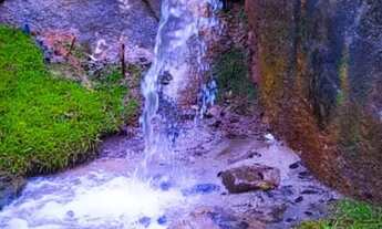 Imagem 4: Chácara Cond. Fechado, 3 dorm, suíte, piscina, porteira fechada