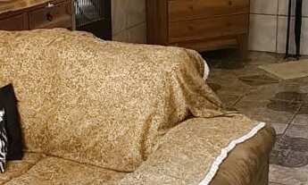 Imagem 7: Pandolfo Vende Sítio no Guaíba Country