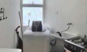 Imagem 4: Imóvel para venda com 48 m² com 2 quartos