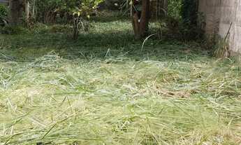 Imagem 4: Imóvel para venda possui 500 metros quadrados em Vila Rica - São José dos Campos - SP