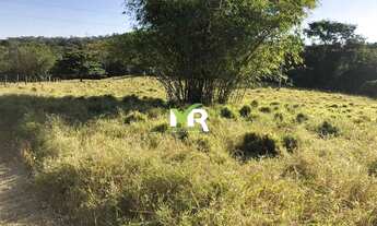 Imagem 7: Fazenda de 42 alqueires (207 hectares) - Pires do Rio - Go