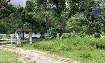 Imagem 6: Fazenda à venda no bairro da Massaguaçu, bairro de Caraguatatuba - SP